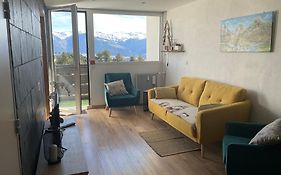 Appartement Tres Lumineux